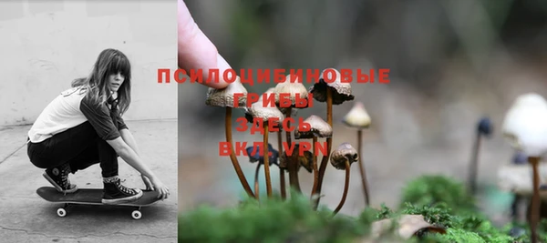 a pvp Богородицк