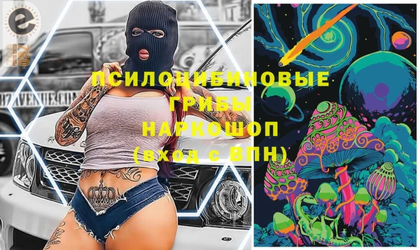 apvp Богородск