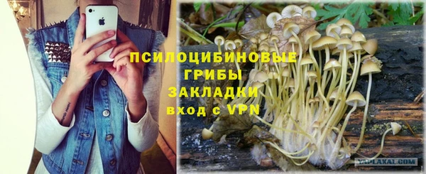 apvp Богородск