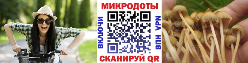 Галлюциногенные грибы прущие грибы Армавир