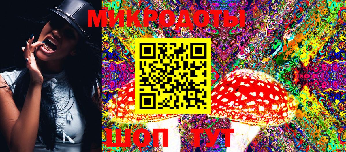 купить  цена  Галлюциногенные грибы Magic Shrooms  Вход с VPN  Армавир 